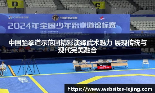中国跆拳道示范团精彩演绎武术魅力 展现传统与现代完美融合