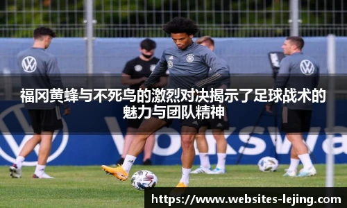 福冈黄蜂与不死鸟的激烈对决揭示了足球战术的魅力与团队精神