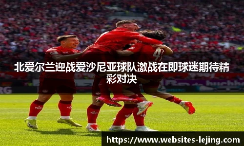 北爱尔兰迎战爱沙尼亚球队激战在即球迷期待精彩对决